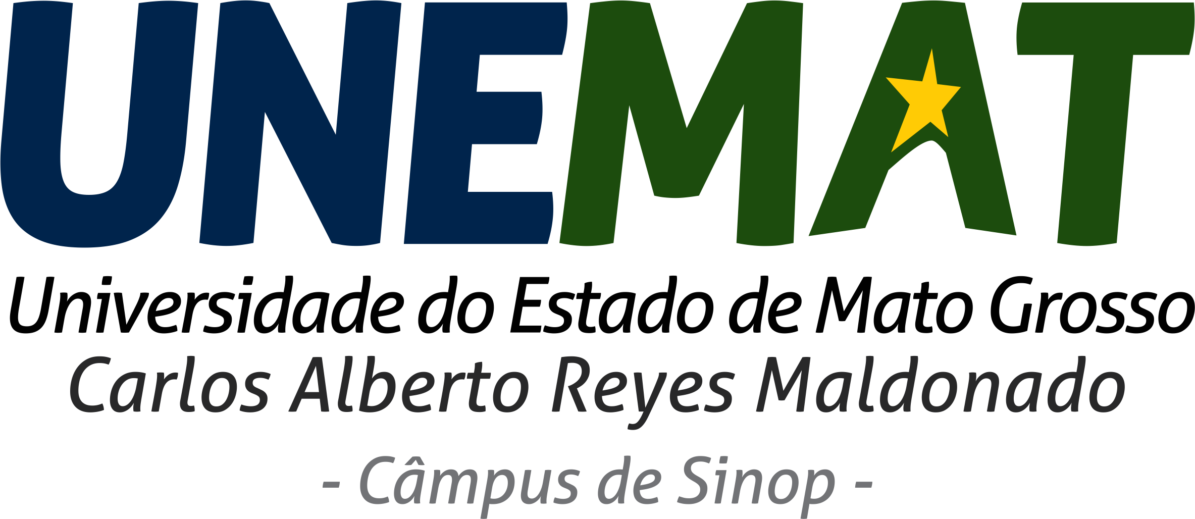 Logo UNEMAT